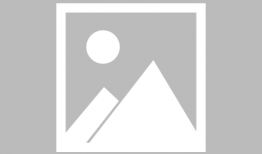 娱乐圈白鹿吃瓜爆料,揭秘明星幕后真相