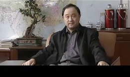 以黑治黑电视剧全集在线观看,黑白较量，正义终将胜利