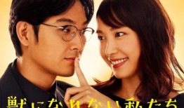 日本 电视剧,穿越时空的日本爱情传奇