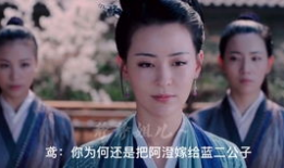 错嫁电视剧剧情介绍,爱恨纠葛，命运错位